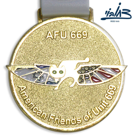 מדליה ידידי יחידת 669 בארה