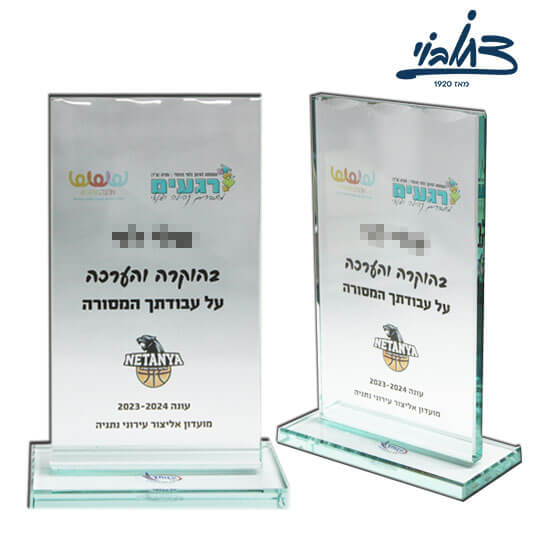 מגן זכוכית 11