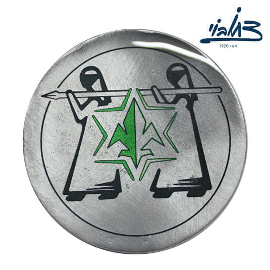 מדליה מודיעין