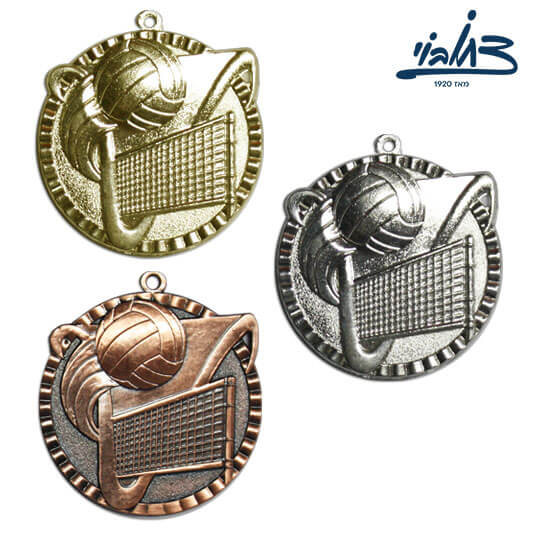 כדורשת / כדורעף